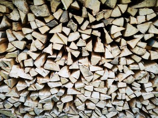 Holzscheite im Wald