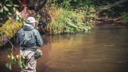 The fisherman moves along a beautiful stream. Trout fishing.