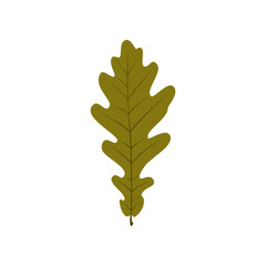 Autumn leaf on white background