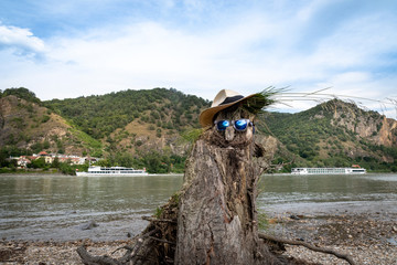 Wachaureise am Donaufluss
