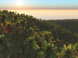 The tropical jungle made in 3D Render