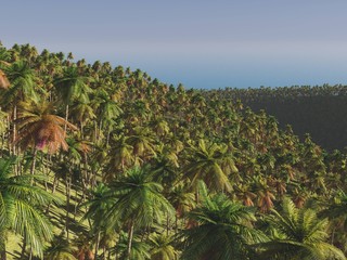 The tropical jungle made in 3D Render