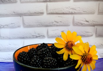 The blackberry is an edible fruit produced by many species in the genus Rubus in the family Rosaceae