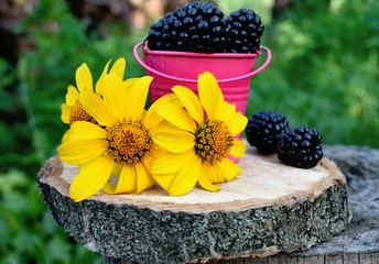 The blackberry is an edible fruit produced by many species in the genus Rubus in the family Rosaceae