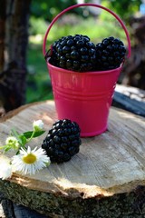The blackberry is an edible fruit produced by many species in the genus Rubus in the family Rosaceae