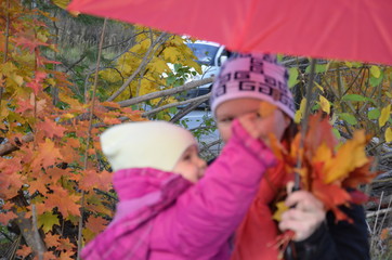 mom and daughter are walking in the autumn forest. Beautiful red, yellow leaves and red umbrella. Young mother and little toddler daughter girl in a beret and a coat walk in the autumn forest.