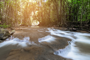 Landscape nature plant tree rainforest jungle with rock in the morning wild tropical forest with sunlight.