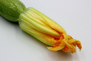 zucchini isolated on white background