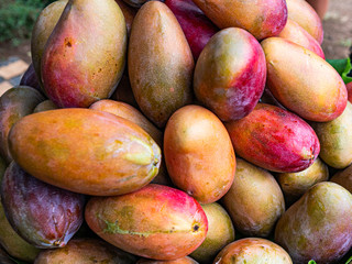 Mangos aus El Salvador