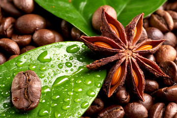 coffee beans with anise and green leaves with dew drops. close up