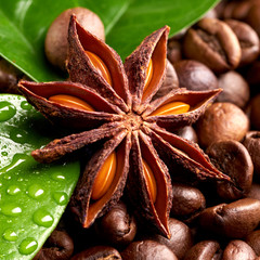 coffee beans with anise and green leaves with dew drops. close up