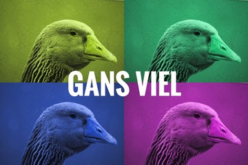 Gans viel Spruch pop art design