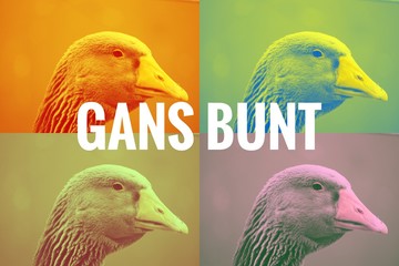 Gans bunt pop art design spruch
