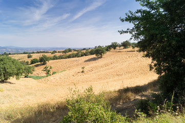 Panorama of the countryside in the Tuscan hills