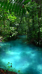The Kalibiru river, Hidden Blue River in Mayalibit, Waigeo, Raja Ampat, West Papua, Indonesia