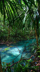 The Kalibiru river, Hidden Blue River in Mayalibit, Waigeo, Raja Ampat, West Papua, Indonesia