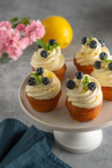 cupcakes with cream, blueberries and mint on a grey background. Copy space.