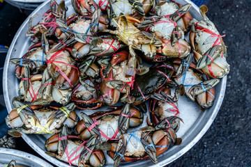 Giant mud crab bundled for sale in the market, Black crab.