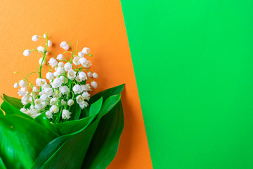 bouquet on contrast background