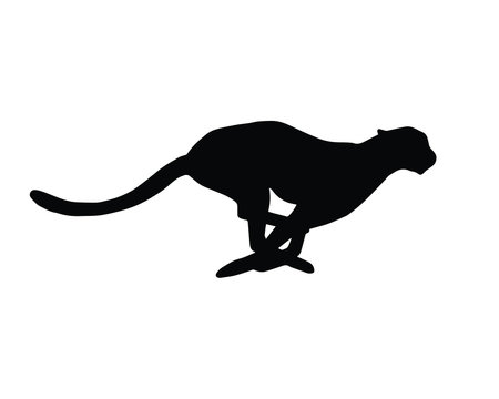 Vector black flat silhouette of running cheetah Isolated on white background