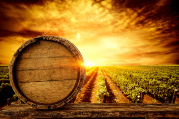 wooden old barrel and vineyard backgroundwith sunset time. 