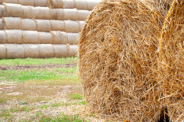 Hay bales. Close-up of large hay bales stacked in stacks.