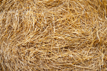 Hay texture. Hay bales are stacked in large stacks.