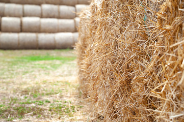Stack hay closeup. Hay bales are stacked in large stacks.