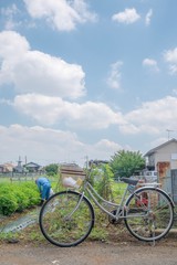 日本の夏