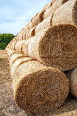 Hay bales. Closeup of a lot of big hay bales stacked on a field in stacks.