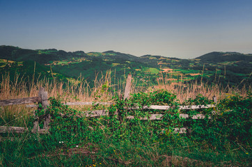 Landscape view of mountain farmland with village houses and tall cypress trees