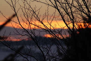 Sonnenuntergang Horizont Wolke Himmel Abendrot