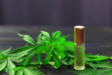 bottle of hemp oil among hemp leaves and branches