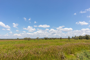 large outdoor grass field at Phatthalung, Thailand