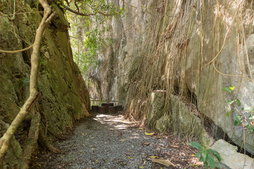 cliff valley mountain and tree at Phatthalung, Thailand