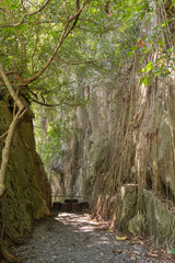 cliff valley mountain and tree at Phatthalung, Thailand