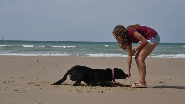 belle jeune femme faisant de l'agility avec son chien sur la plage