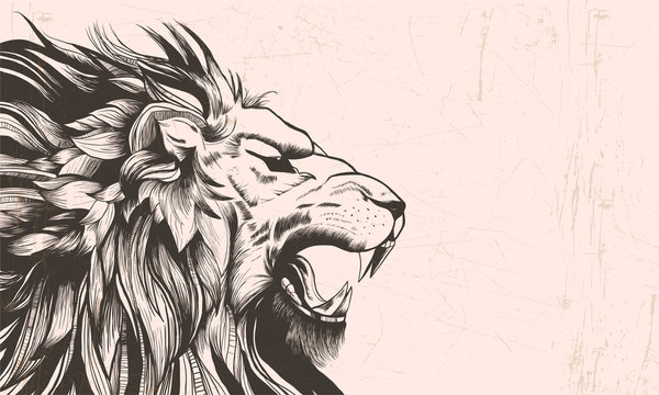 Lion Tattoo Images – Browse 61,581 Stock Photos, Vectors, and Video | Adobe  Stock
