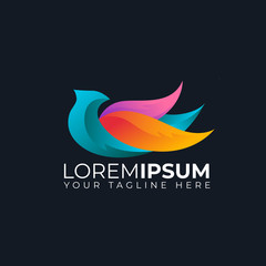 colorful-bird-eagle-phoenix-logo-with-wings-logo-vector.zip