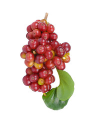 fresh coffee beans with leaf isolated on white background