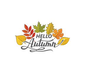 hello autumn lettering label with woody leaves isolated on white background © Alexkava