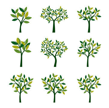 Set of green Trees. Vector Illustration.