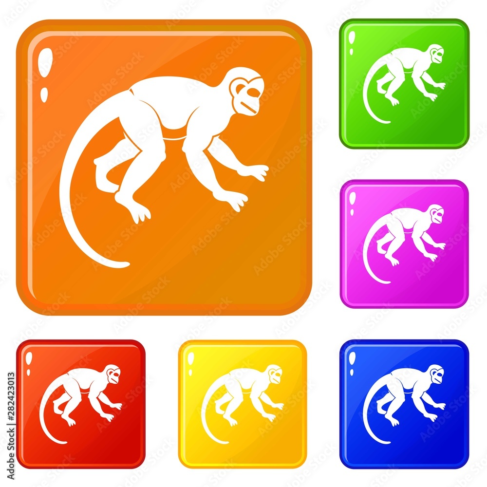 Poster capuchin monkey icons set collection vector 6 color isolated on white background