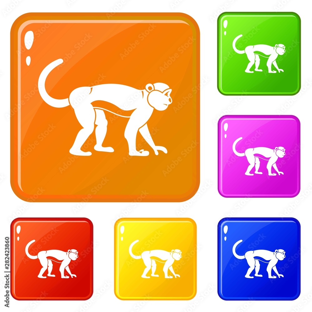 Poster macaque icons set collection vector 6 color isolated on white background