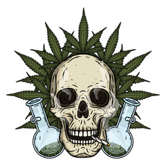 Skull. Skull with bong and marijuana leaves. Rastaman skull with cannabis leafs and spliff.