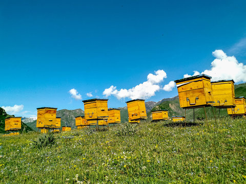 Bee hives in the mountains