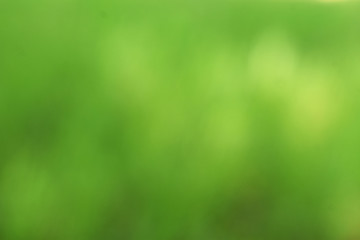 abstract green background