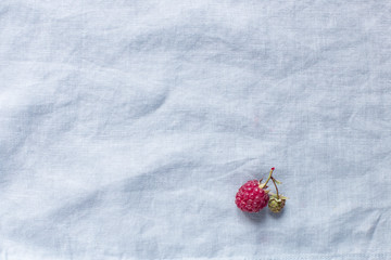 Obraz na płótnie Canvas Raspberry on a flaxen blue background, minimalism