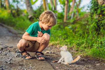 Little boy and little kitten playing outside