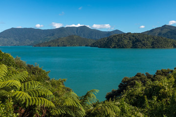 Looking down the beautiful and stunning Marlborough Sound and the surrounding hills at the top of the South Island, New Zealand on a sunny day.